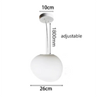 1 head 26cm / APP with RC Dimmable